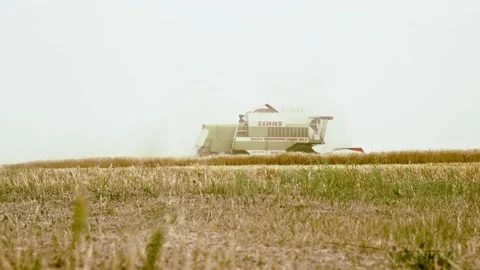 Harvester in the field. wheat harvesting process. Stock Footage 211884003