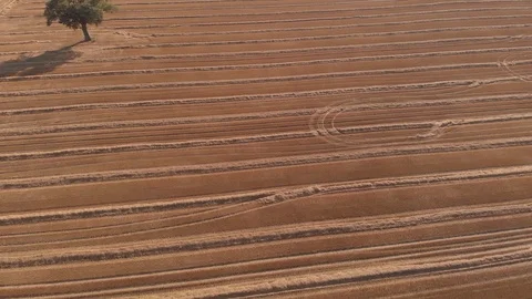 Harvester-flyover Vídeos de archivo 116664514