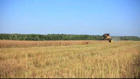 Harvester Stock Footage 7762709