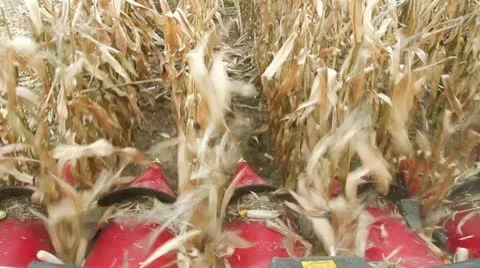 Harvester Stock Footage 12518207