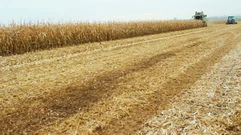 Harvester Stock Footage 12518220