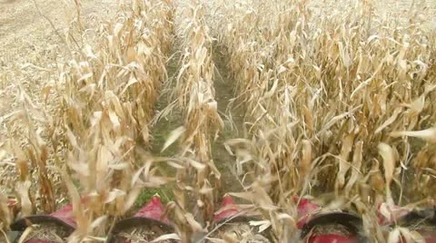Harvester Stock Footage 12518233