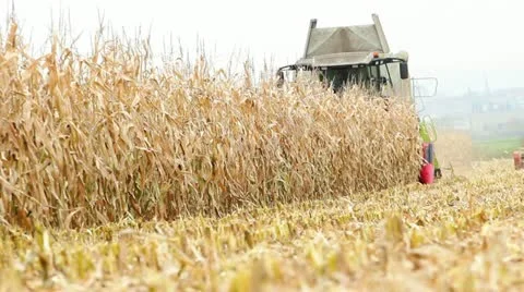Harvester Stock Footage 12518235