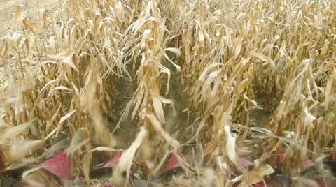 Harvester Stock Footage 12518236