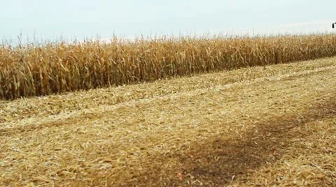 Harvester Stock Footage 12518291
