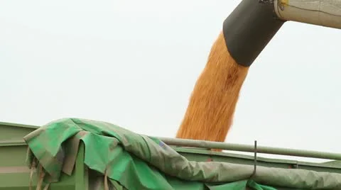 Harvester Stock Footage 12518304