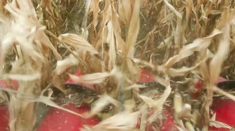 Harvester Stock Footage 12518310