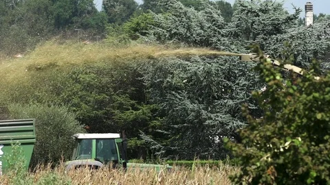 Harvester Stock Footage 79098286