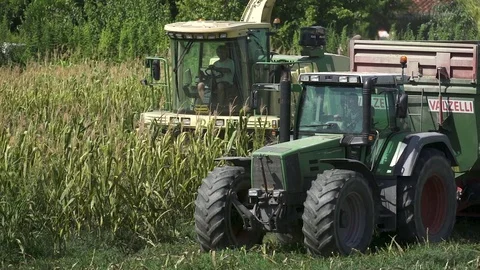 Harvester Stock Footage 79098298