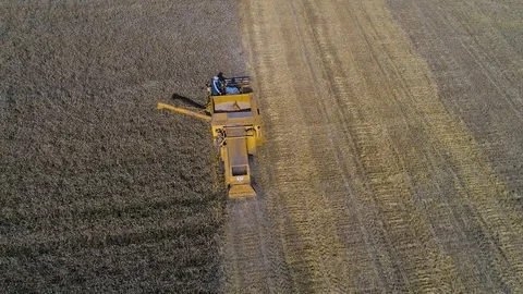 Harvester Stock Footage 95032808