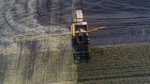 Harvester Stock Footage 95032825