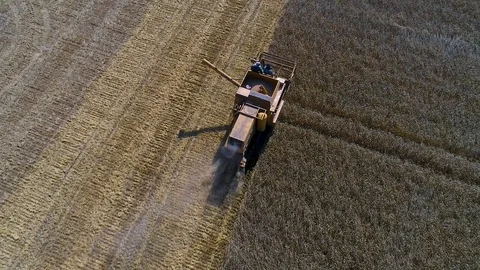 Harvester Stock Footage 95032826