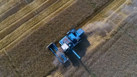 Harvester Stock Footage 95032836