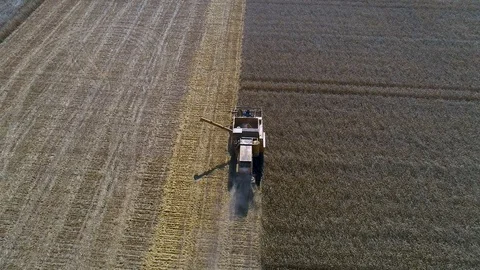 Harvester Stock Footage 95032852