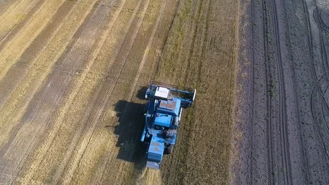 Harvester Stock Footage 95032865