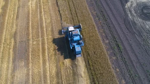 Harvester Stock Footage 95032881