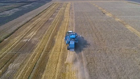 Harvester Stock Footage 95032891