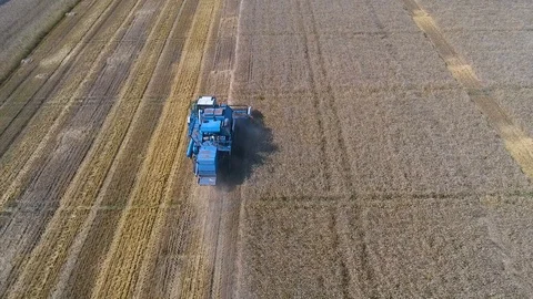 Harvester Stock Footage 95032894