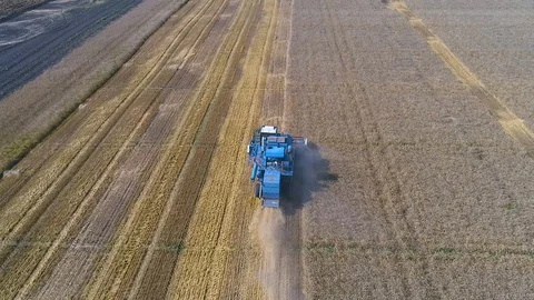 Harvester Stock Footage 95032896