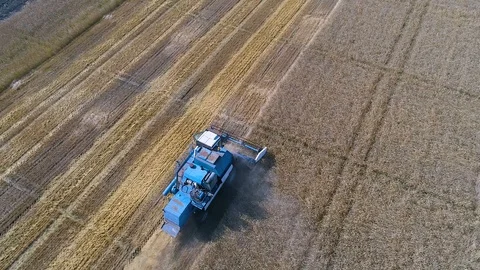 Harvester Stock Footage 95032898