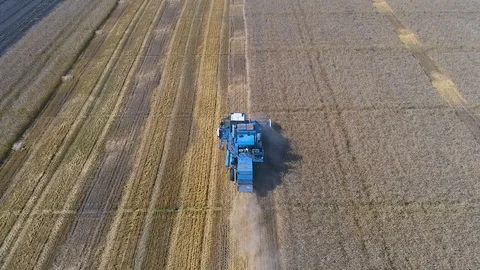 Harvester Stock Footage 95032906