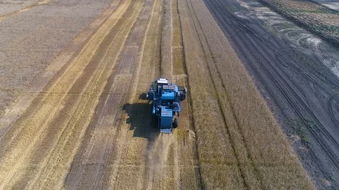 Harvester Stock Footage 95032913