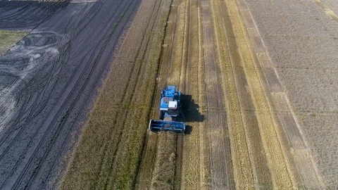 Harvester Stock Footage 95032925