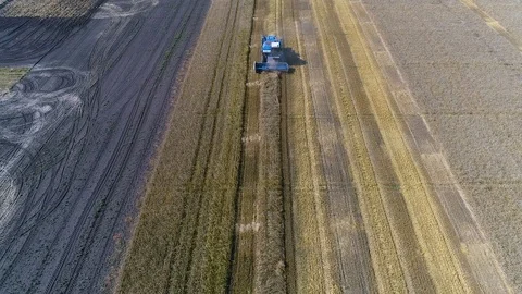 Harvester Stock Footage 95032930