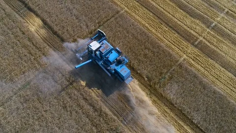 Harvester Stock Footage 95032943