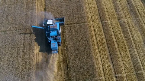 Harvester Stock Footage 95032946