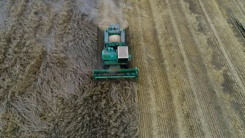 Harvester Stock Footage 95032984