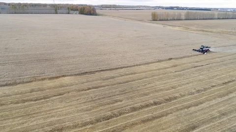 Harvester Stock Footage 95032991