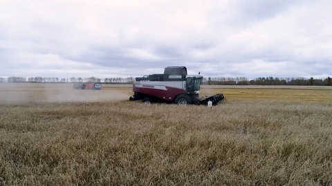 Harvester Stock Footage 95033000