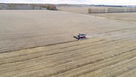 Harvester Stock Footage 95033015