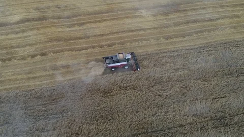 Harvester Stock Footage 95033022