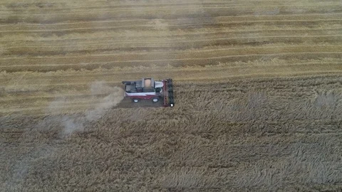 Harvester Stock Footage 95033025
