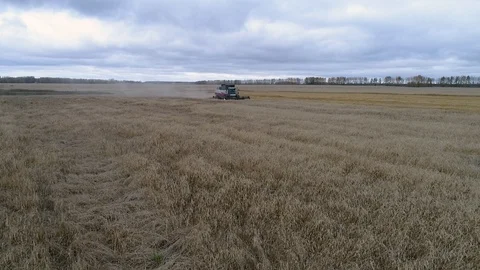 Harvester Stock Footage 95033029
