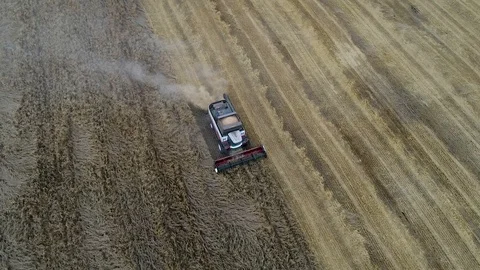 Harvester Stock Footage 95033036