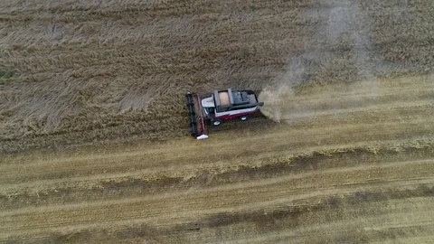 Harvester Stock Footage 95033040