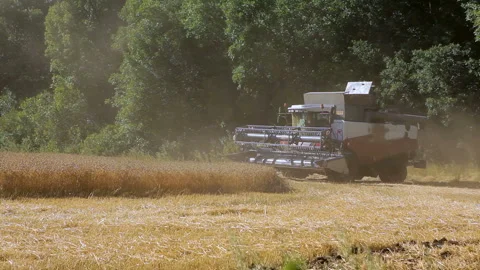 Harvester. Stock Footage 102169592