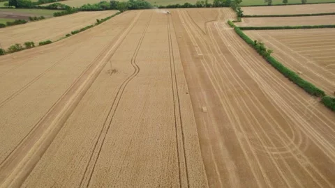 Harvester Stock Footage 211881820