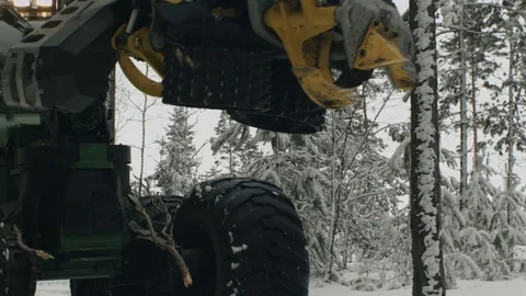 The harvester in a forest close up cutting tree on pieces Stock Footage 69966792