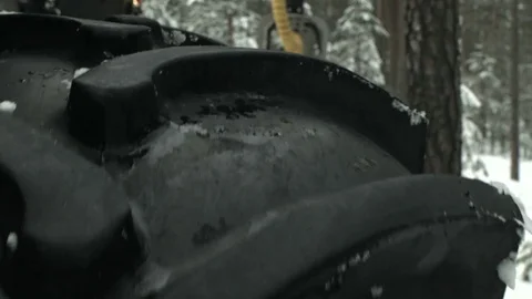 The harvester in a forest wheels Stock Footage 69968533