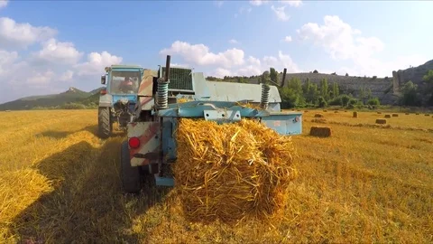 Harvester forms hay in bales and leaves them on the field Video stock 78935893