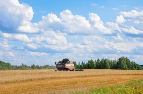 Harvester gather wheat Stock Photos