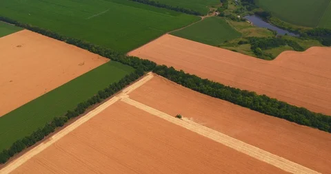 A harvester is gathering in wheat from a big field Stock Footage