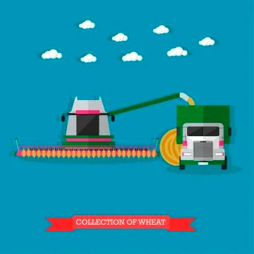 Harvester gathers the wheat, flat design Illustrazione stock