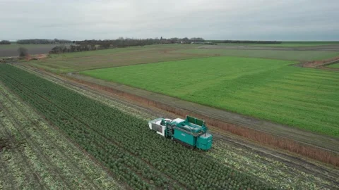 Harvester Harvesting Stock Footage 223545857