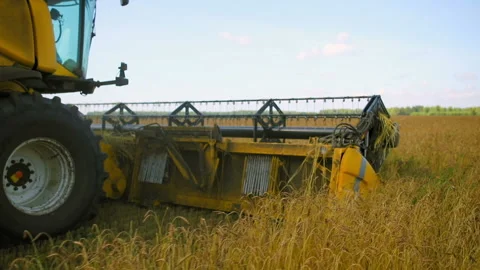 Harvester harvests crops Stock Footage 93149725