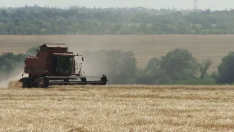 Harvester harvests of grain 動画素材 88864426